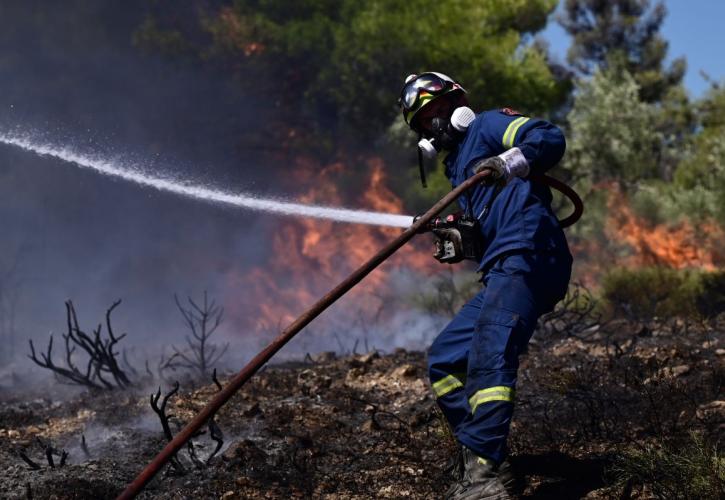 Πυροσβεστική: 48 αγροτοδασικές πυρκαγιές το τελευταίο εικοσιτετράωρο σε όλη τη χώρα