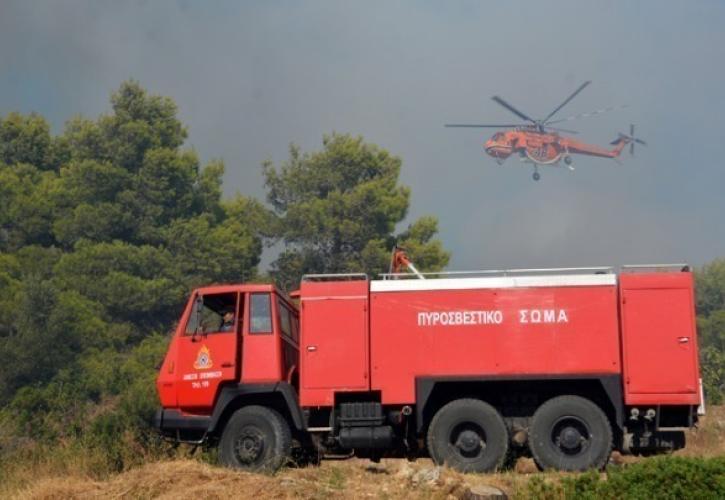 Ολοκληρώνονται οι συσκέψεις της ηγεσίας της Πολιτικής Προστασίας σε όλη τη χώρα για την αντιπυρική περίοδο